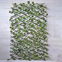 Hogar y Mas Jardin Vertical- celosia Extensible Hiedra Artificial con Estructura de Madera Natural para Decoración…